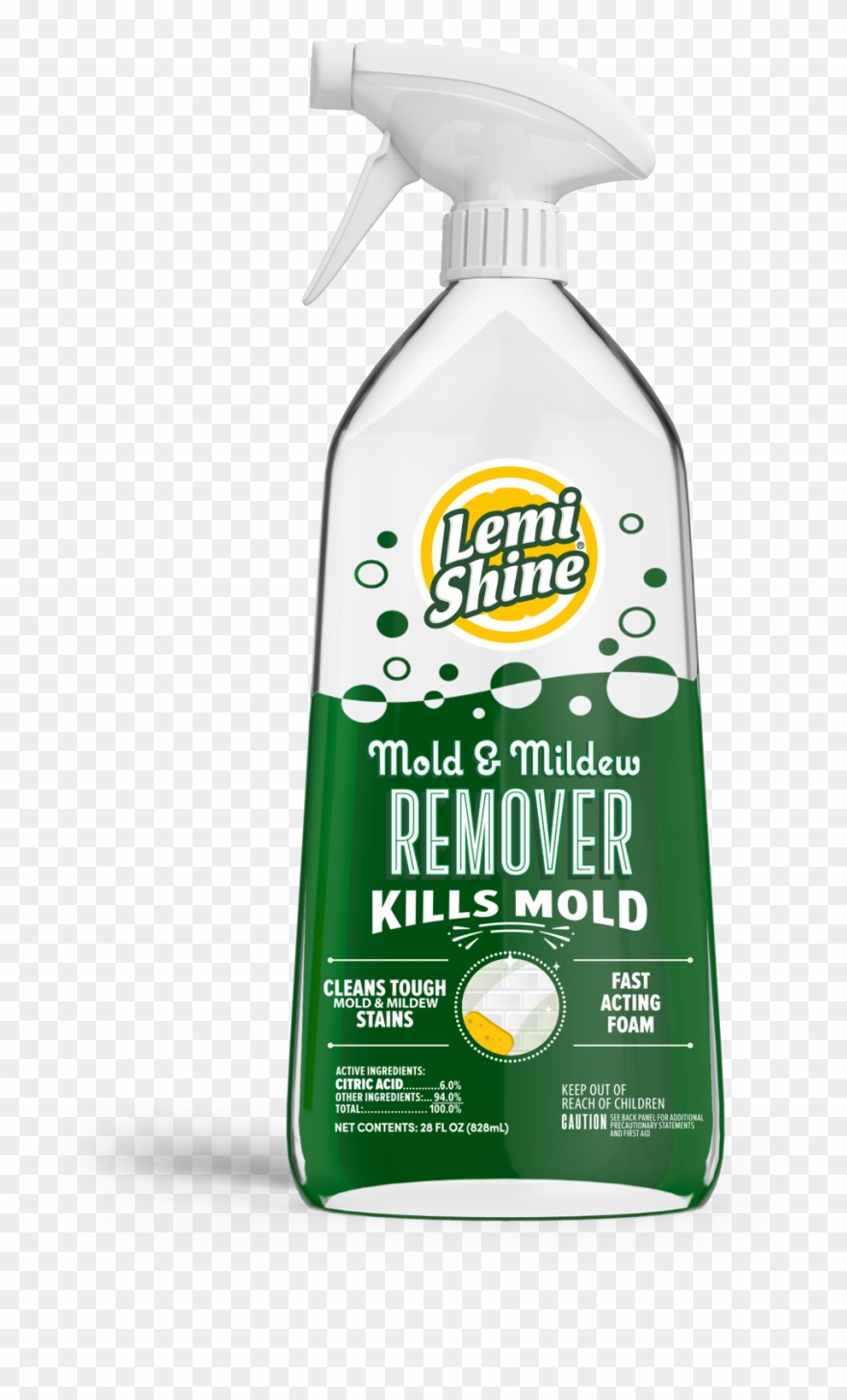 Mold And Mildew - Mold Clipart