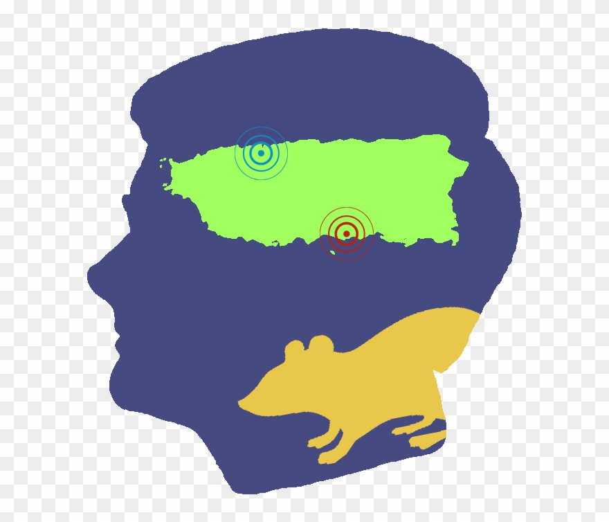 Legacy 20th Anniversary Quirk Lab E1501879197406 Clipart