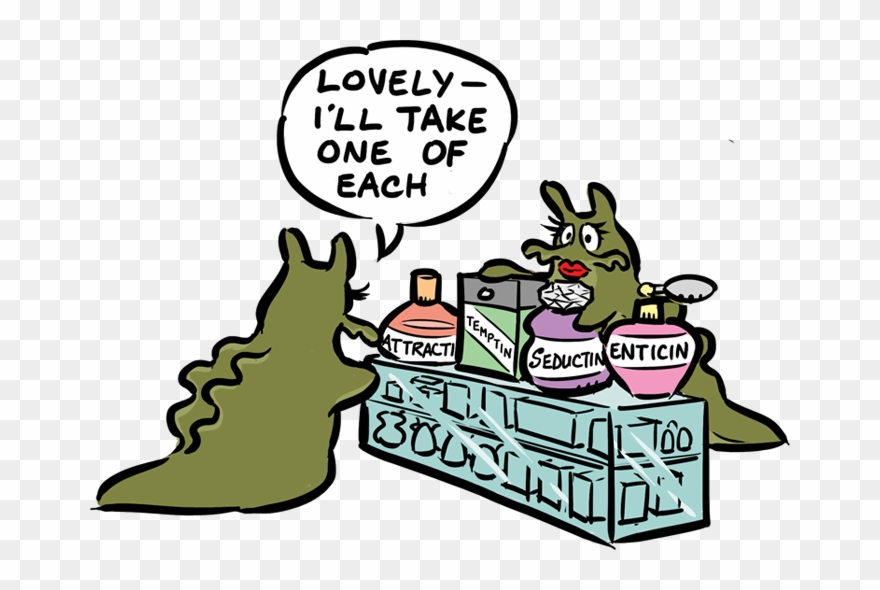 Examples Of Mollusks - Cartoon Clipart