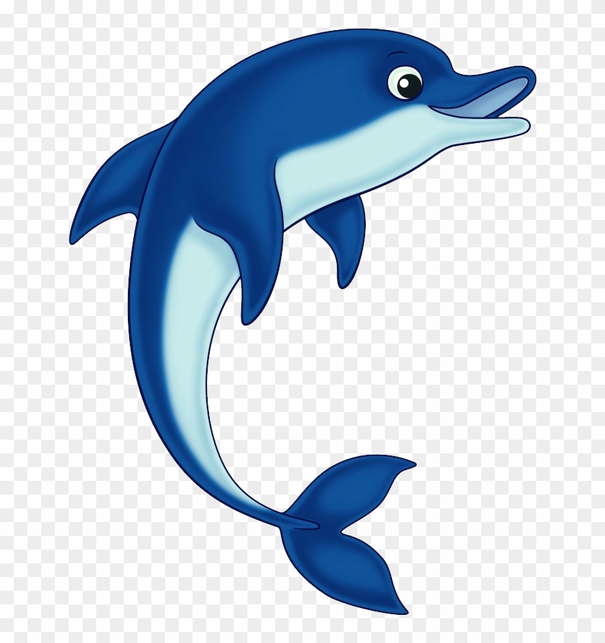 Dolphin Clipart - Png Download