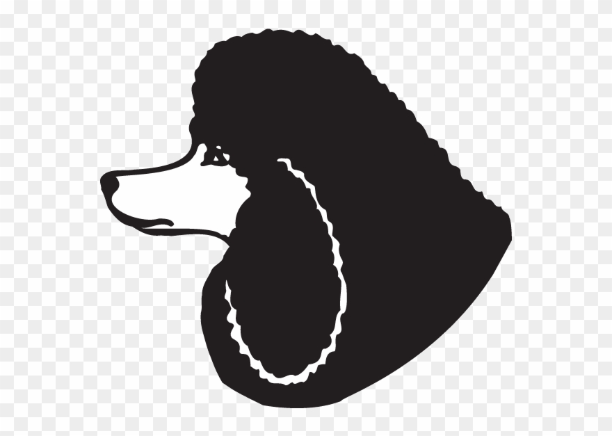 Illustration Clipart