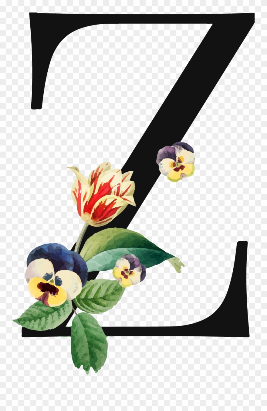 Letter Z Png Background Image - Iris Clipart