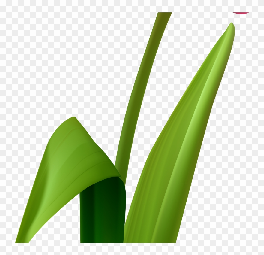 Grass Clipart