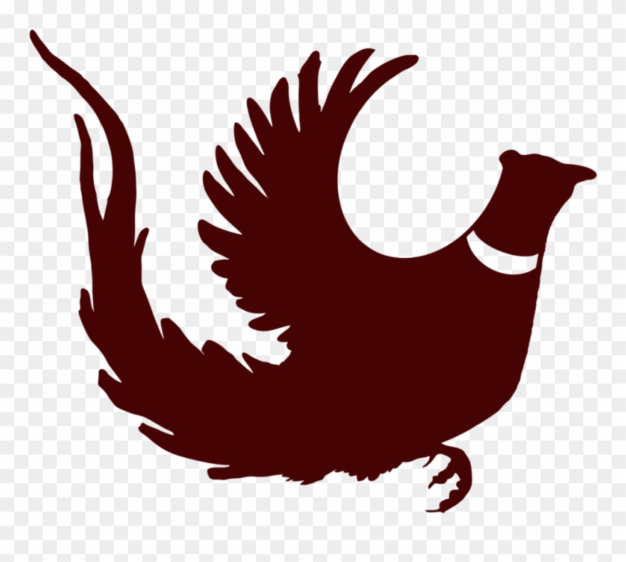 Longtail Rooster Pheasant, Pheasant Hunting Decal - Chicken Clipart