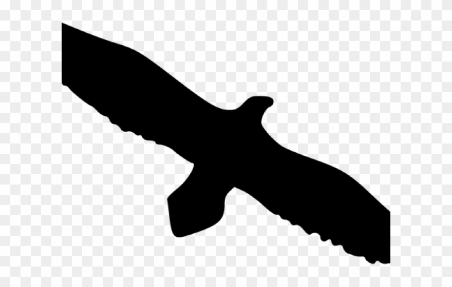 White Tailed Eagle Clipart Landing Eagle - Bald Eagle Silhouette Clip Art - Png Download