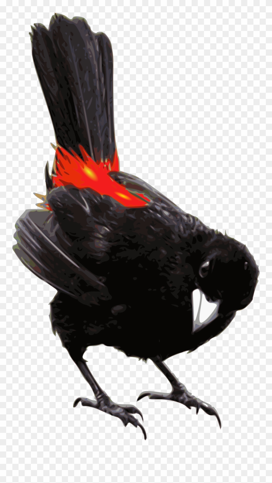 This Free Icons Png Design Of Scarlet-rumped Tanager - Turkey Clipart