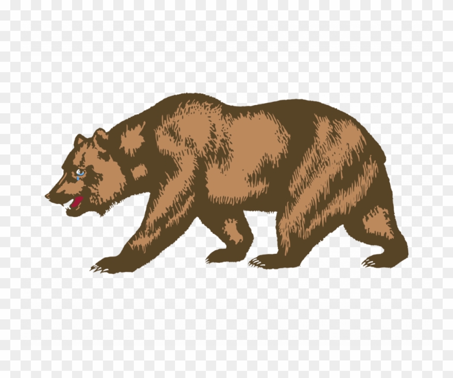 Com Brown Bear - California Grizzly Bear Drawing Clipart
