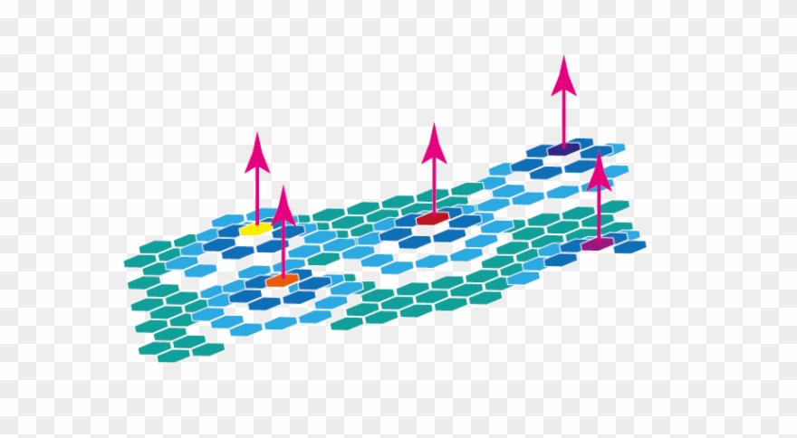 And The Winner Is Clipart