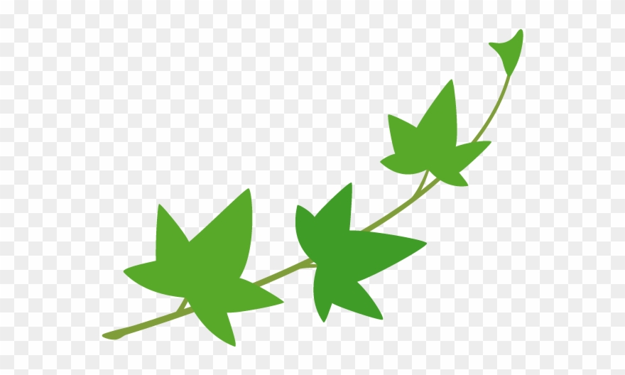 Ivy Clipart English Ivy - 花 イラスト アイビー - Png Download