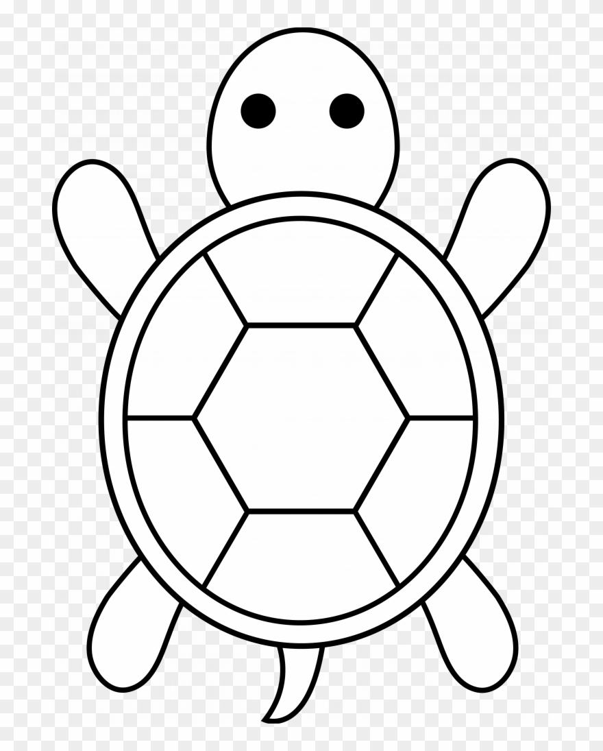 Images Of Easy Coloring Pages - Easy Cute Turtle Drawing Clipart