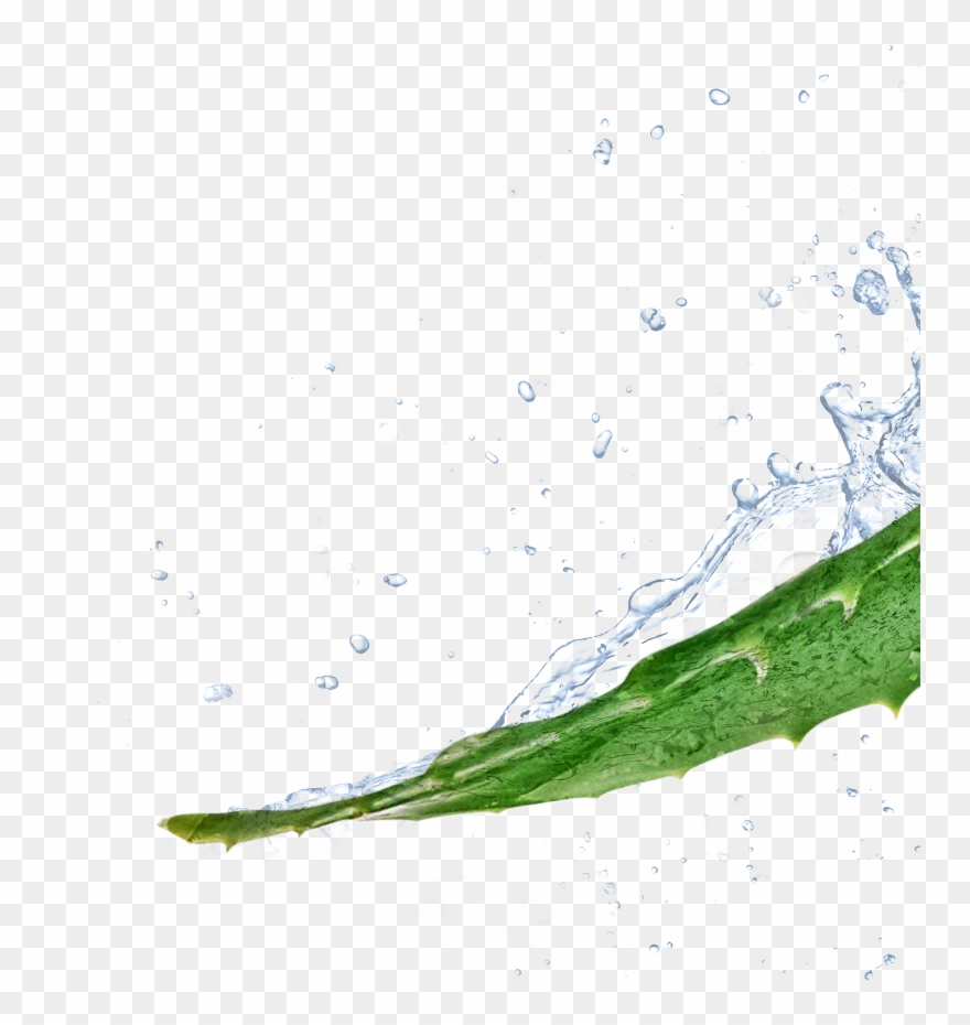 Product Experience - Drawing Clipart