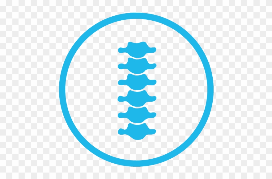 Spine Png Clipart