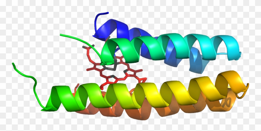 D6dhzc In Context Of Chain - Graphic Design Clipart