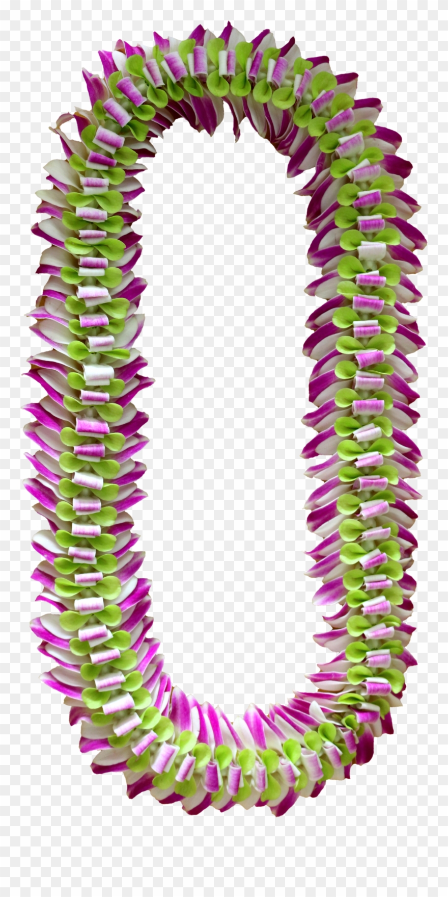 S474186852229641498 P337 I4 W2560 - Artificial Flower Clipart