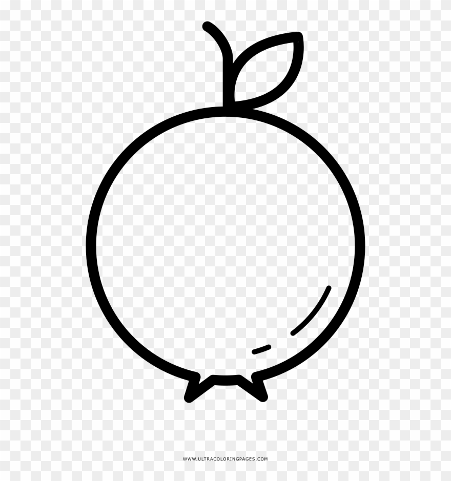 Pomegranate Coloring Page - Line Art Clipart