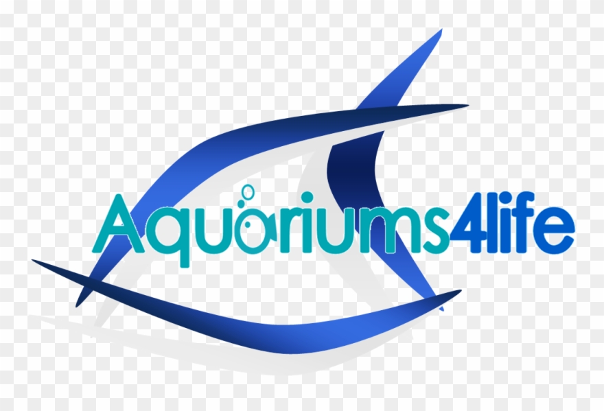Aquarium Clipart