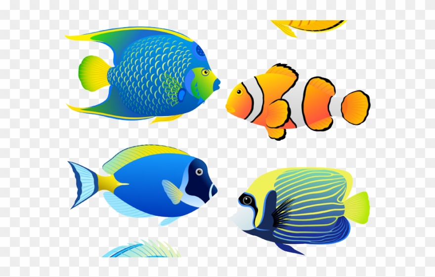 Angelfish Clipart Aquarium Fish - Coral Reef Fish Cartoon - Png Download