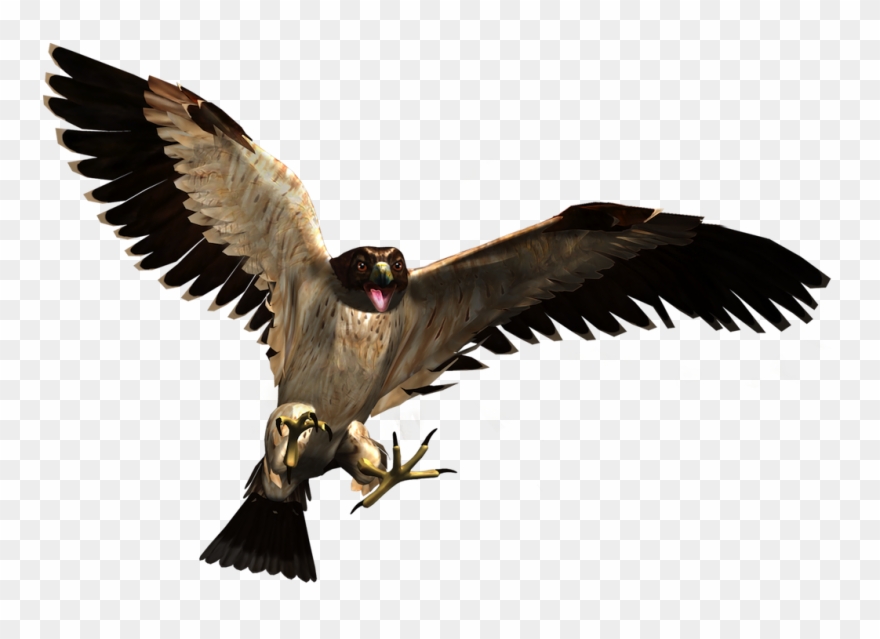 Wild Life Fs Art - Transparent Wild Animals Png Clipart