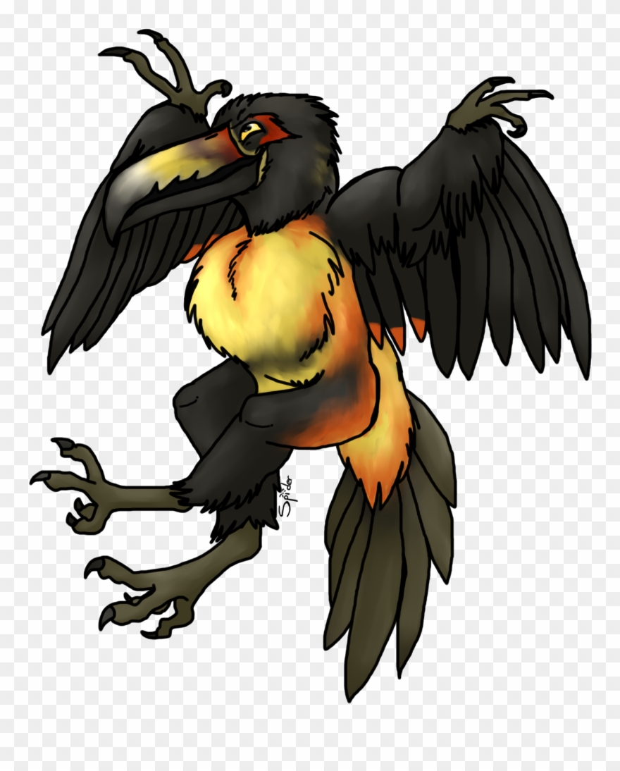 Collared Aracari Weasyl - Hornbill Clipart