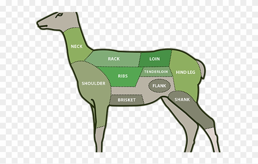 Dear Clipart Venison - Cattle - Png Download