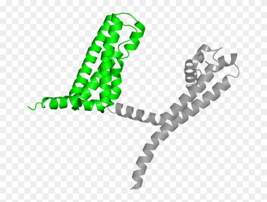 <div Class='caption-body'>1 Copy Of Cath Domain - Illustration Clipart