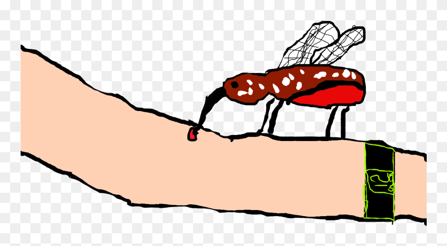 Mosquitoes On Emaze Clipart