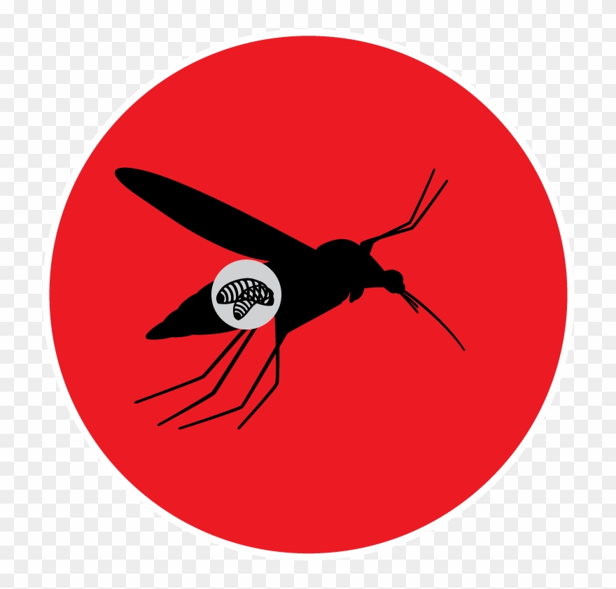 Step Two - Cnrs Clipart