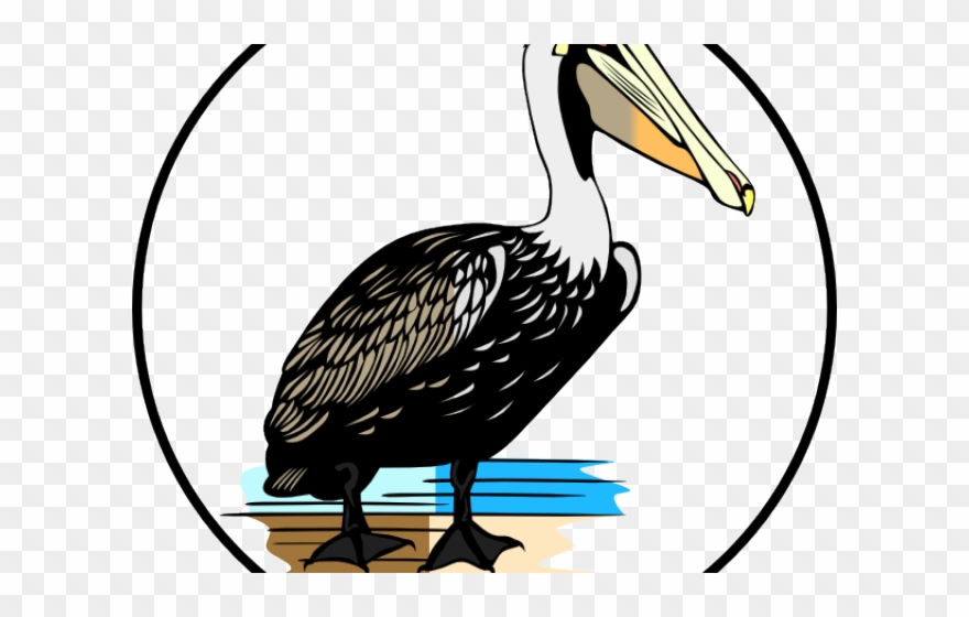 Pelican Clipart Louisiana Pelican - Brown Pelican Clip Art - Png Download