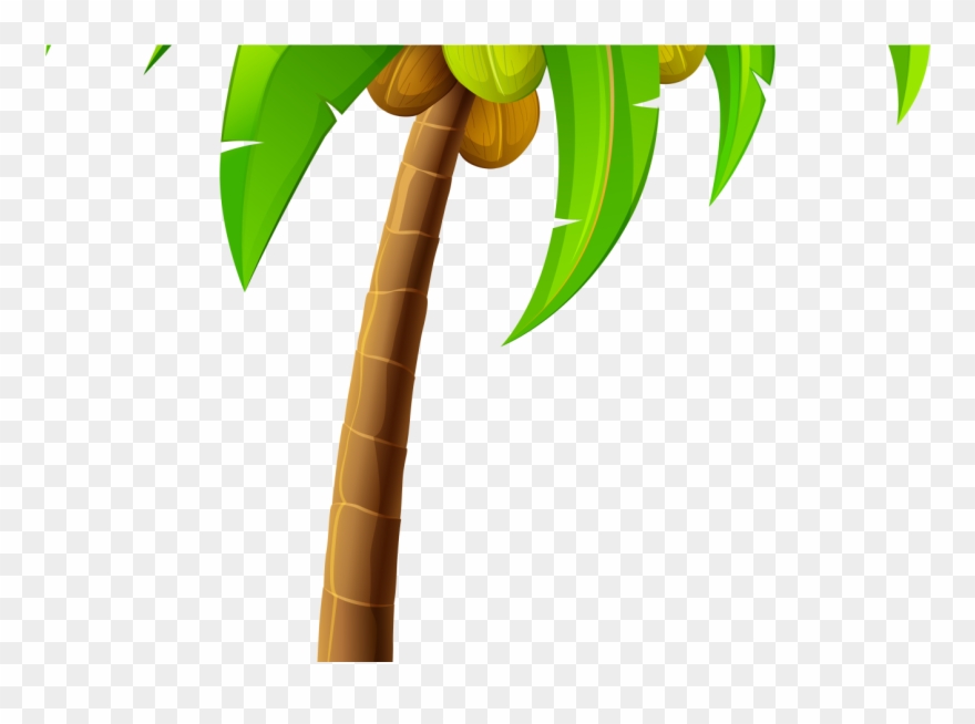 Palm Leaves Clip Art Transparent - Png Download