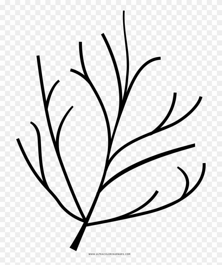 Twig Coloring Page - Icons Black And White Twig Clipart