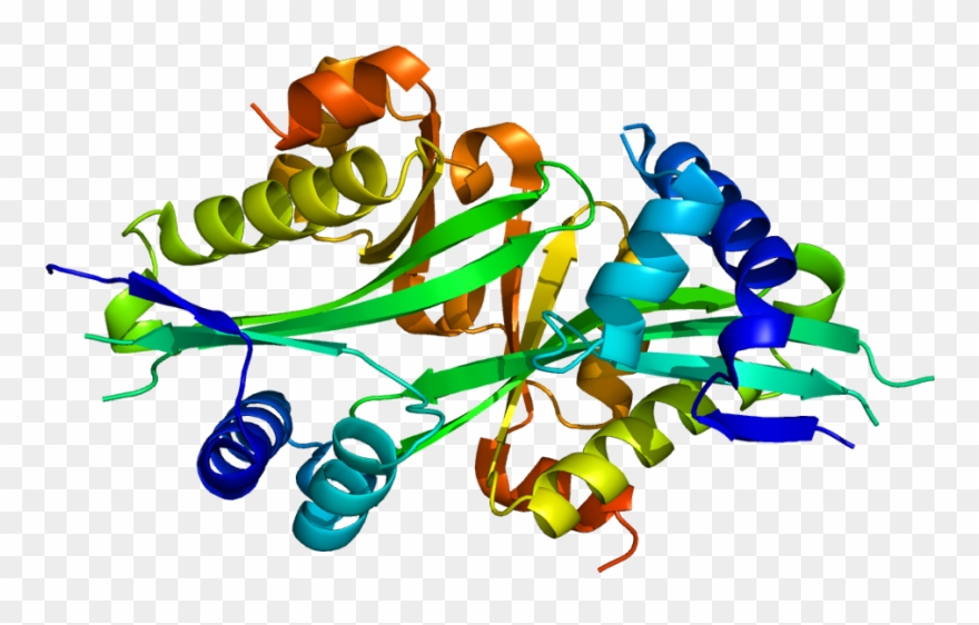 Graphic Design Clipart