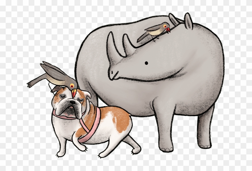 Lulu Is A Rhinoceros - Cartoon Clipart