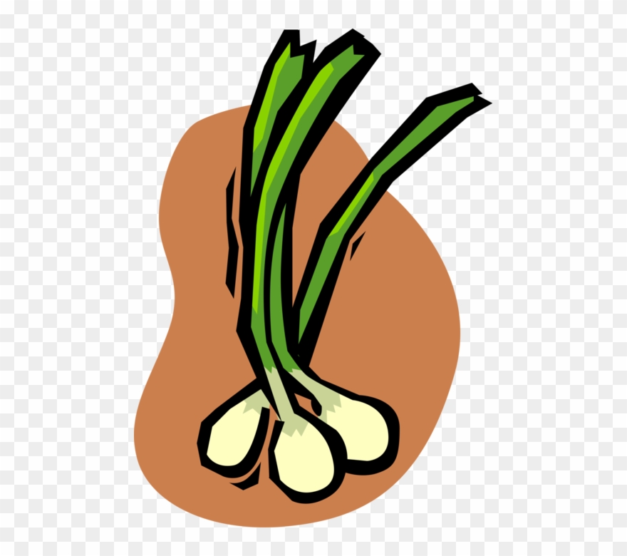 Vector Illustration Of Green Scallion Onion Vegetable Clipart