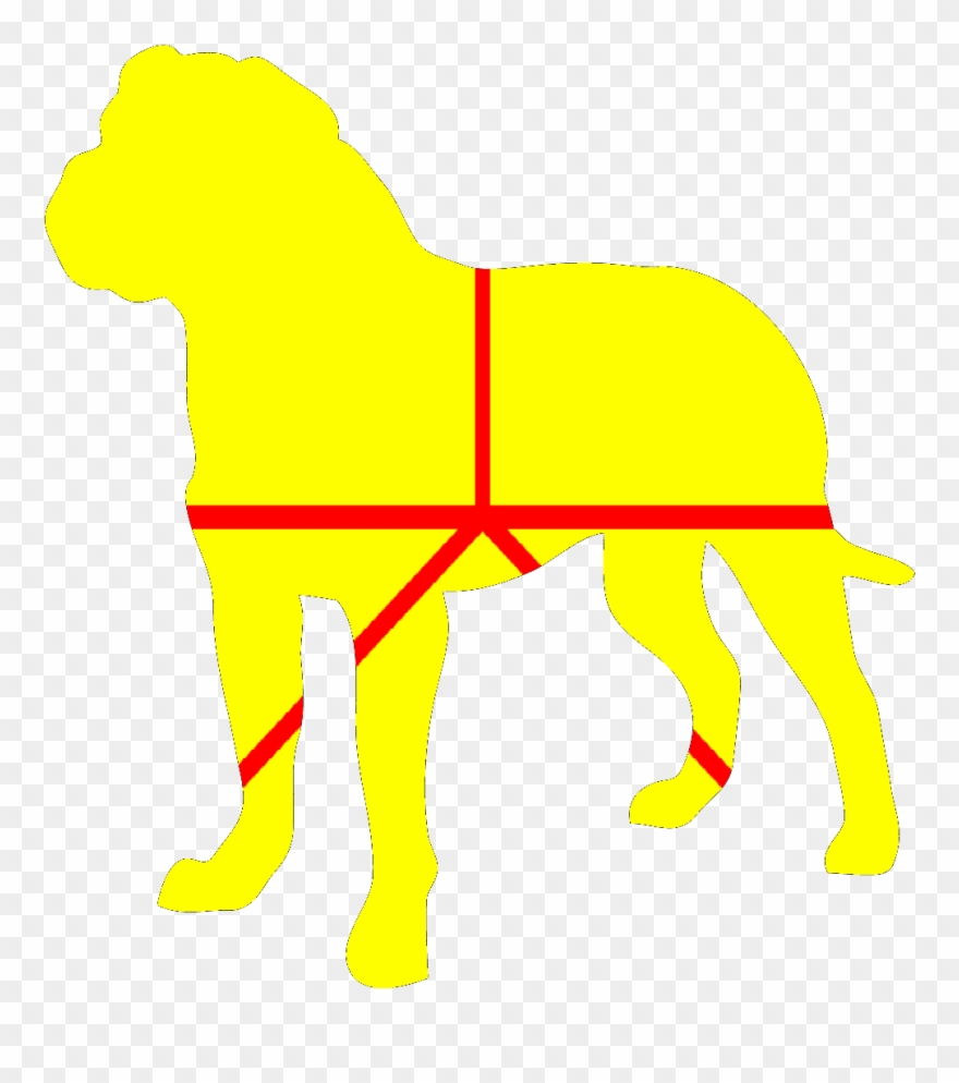 Ancient Dog Breeds Clipart