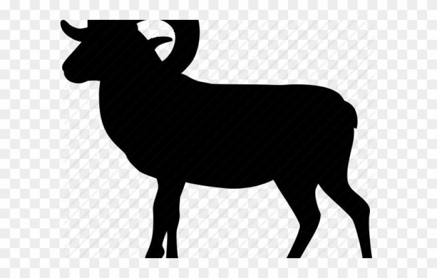 Ibex Clipart Sheep Ram - Goat - Png Download