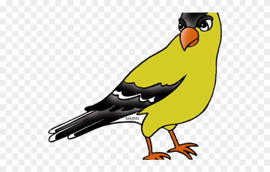 Goldfinch Clipart Nj State Bird - Washington State Bird Clipart - Png Download