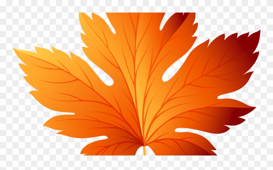 Fall Leaves Clip Art Transparent - Png Download