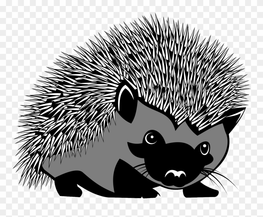 Hedgehog Png Transparent Image - Hedgehog Coat Of Arms Clipart