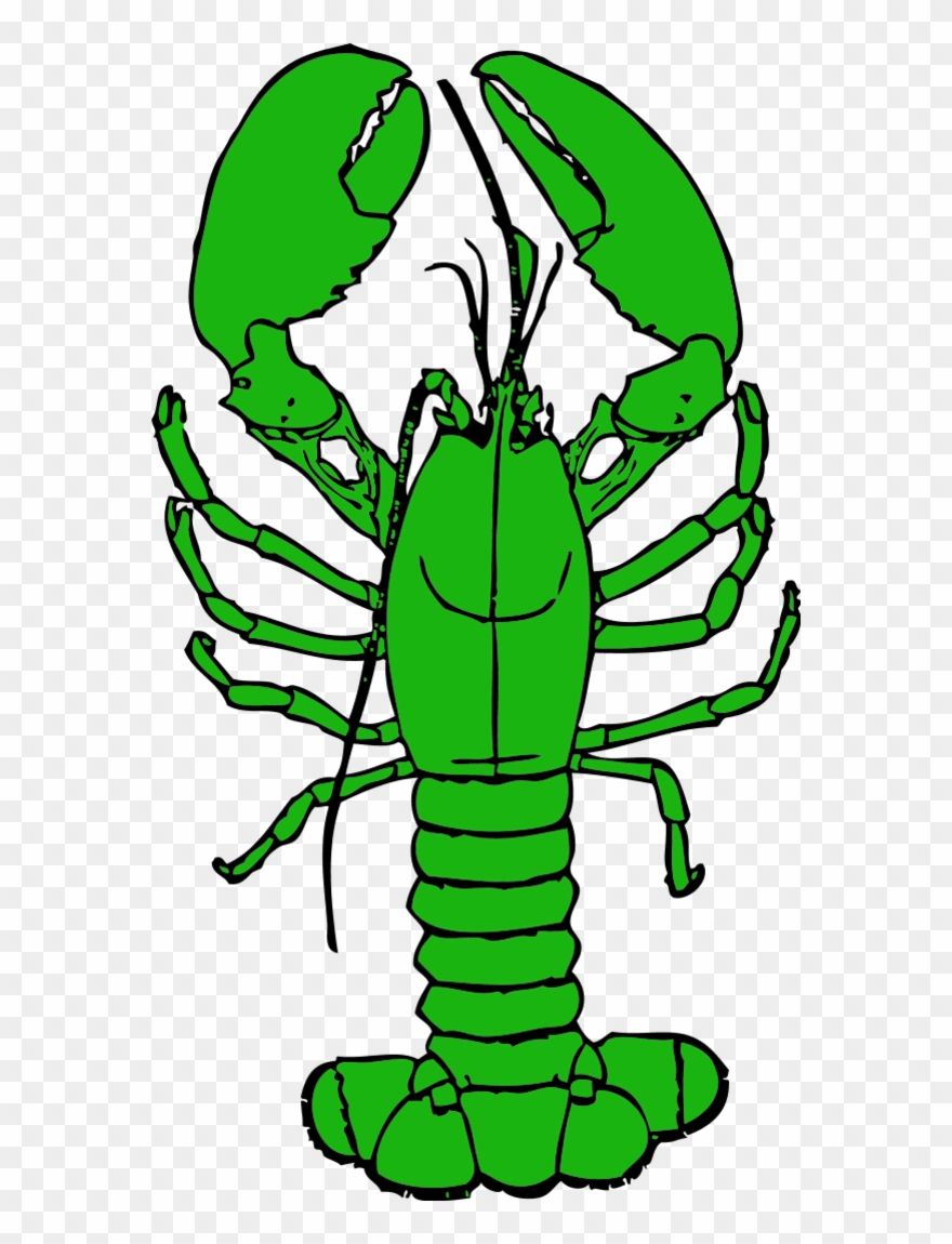 Broken Glass Free Download - Crawfish Clipart Transparent Background - Png Download