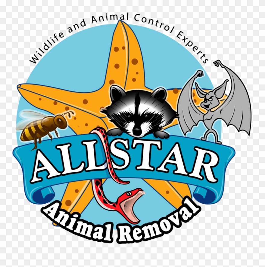 Allstar Animal Removal Florida Clipart