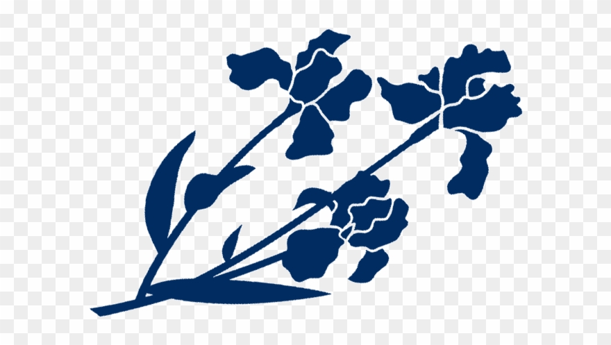 Go To Fairfield County Look And Greenwich Magazine - Graphic Design Clipart