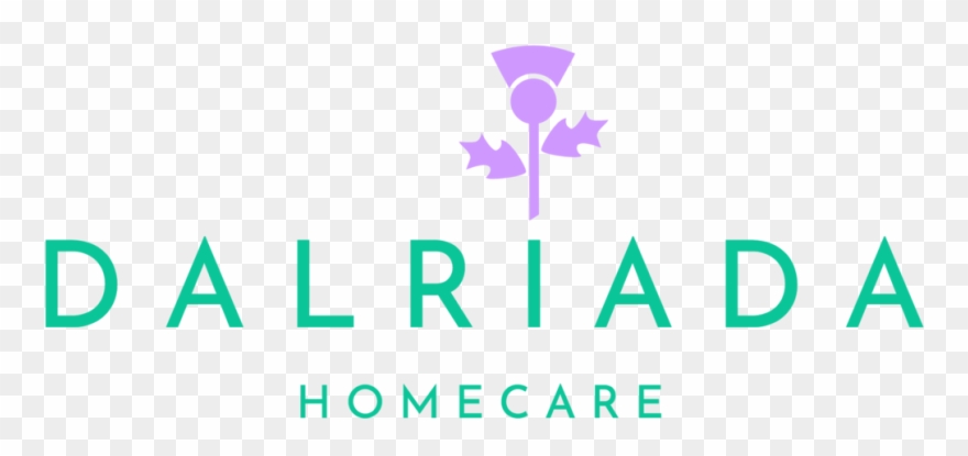 Scottish Thistle Clipart - Png Download