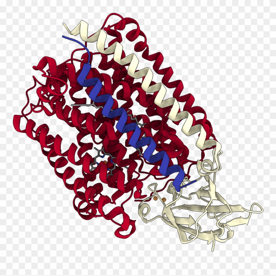 Chains Colored In Rainbow - Illustration Clipart