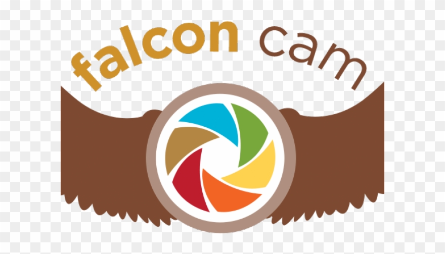 Peregrine Falcon Clipart Shaheen - Illustration - Png Download