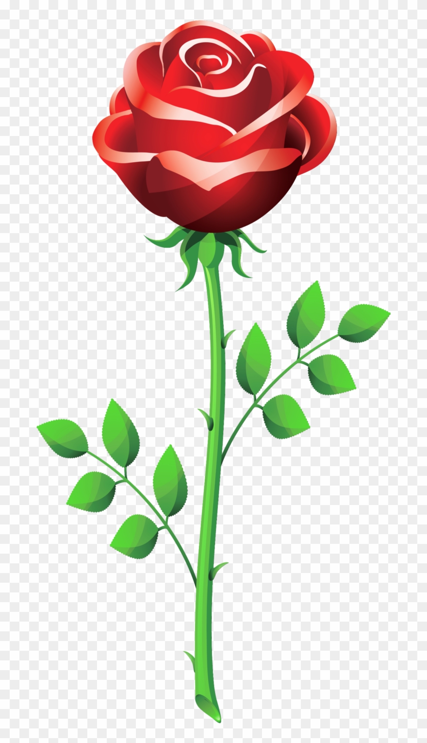 Rose Vector Png Clipart
