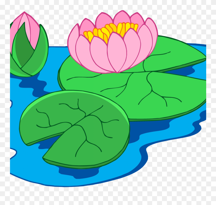 Water Lily Plant Clipart - Png Download