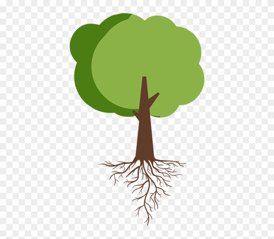 Tree With Roots - Illustration Clipart