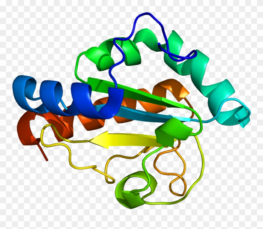 Graphic Design Clipart