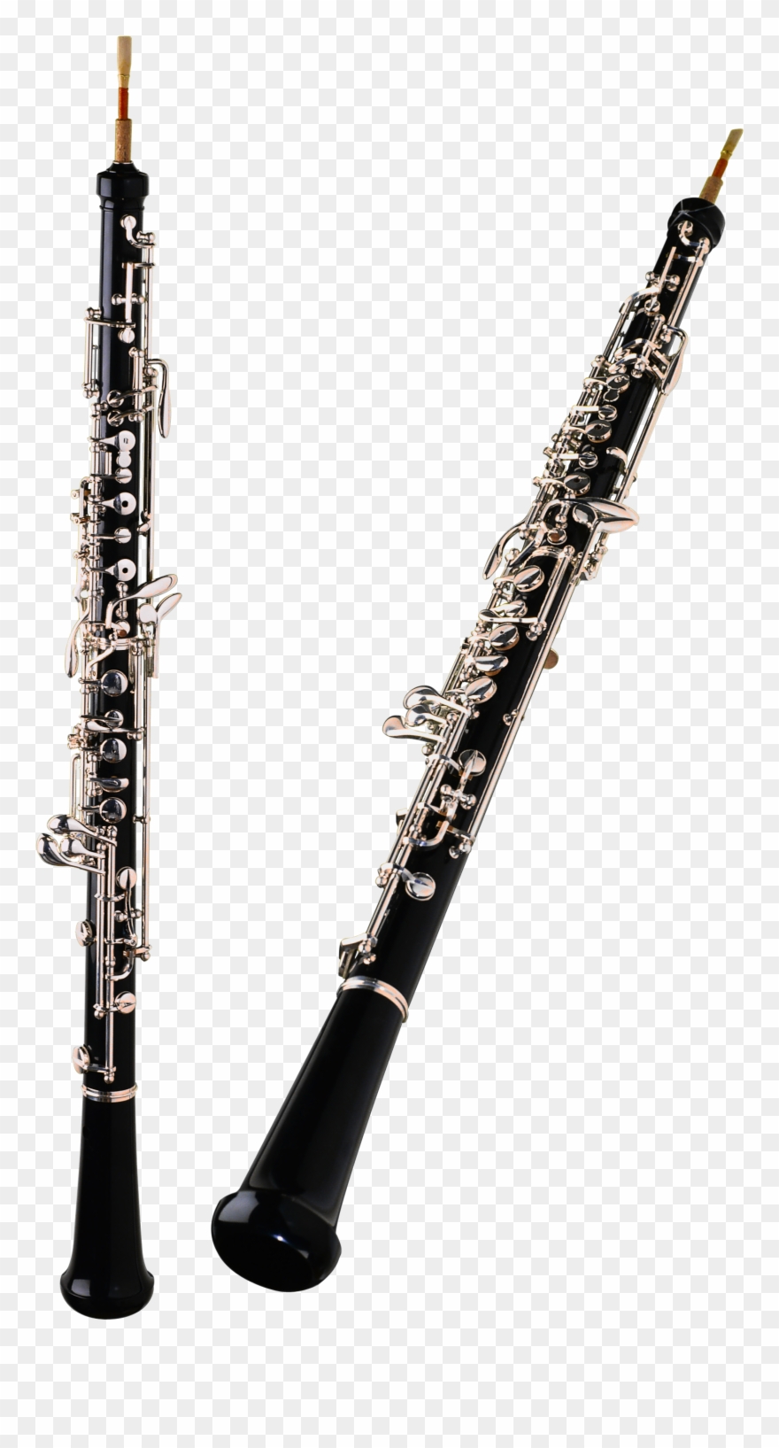 Instrument De Musique Basson Clipart