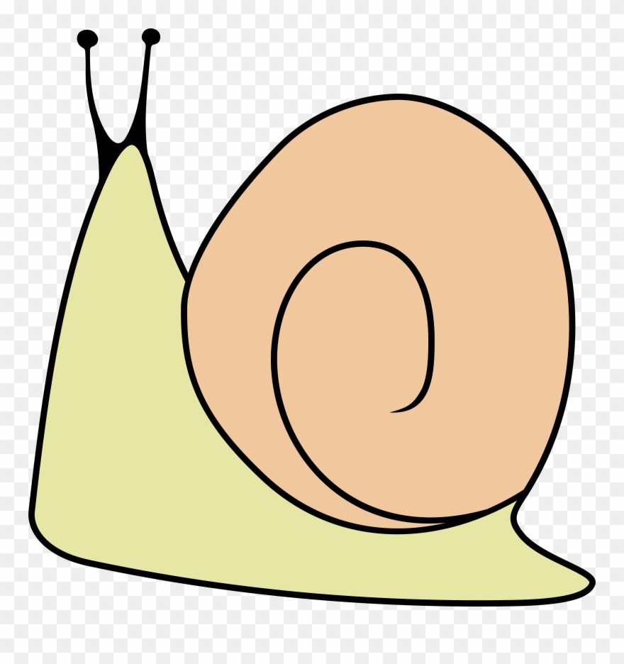 Gastropods Invertebrate Clip Art Strokes Transprent - Png Download